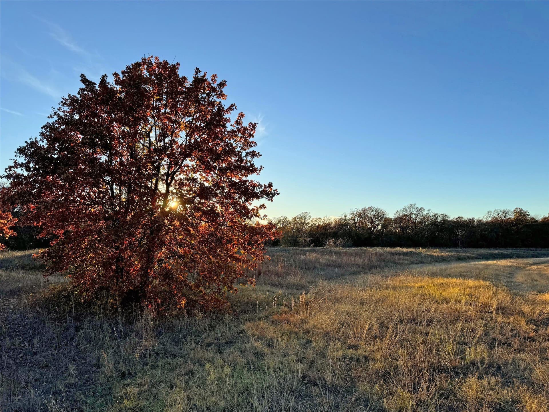 1.01 acres in Denton County - photo 24