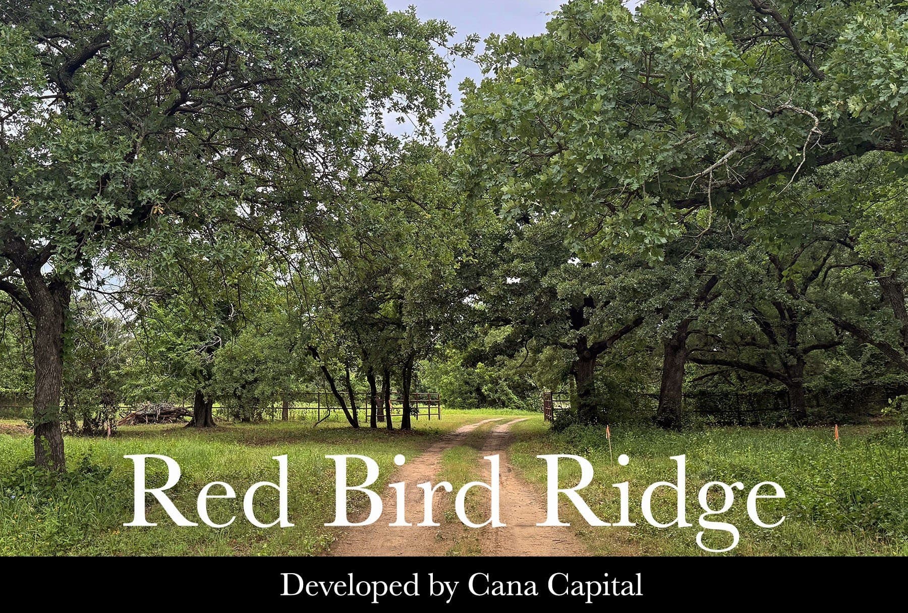 1.01 acres in Denton County - photo 23