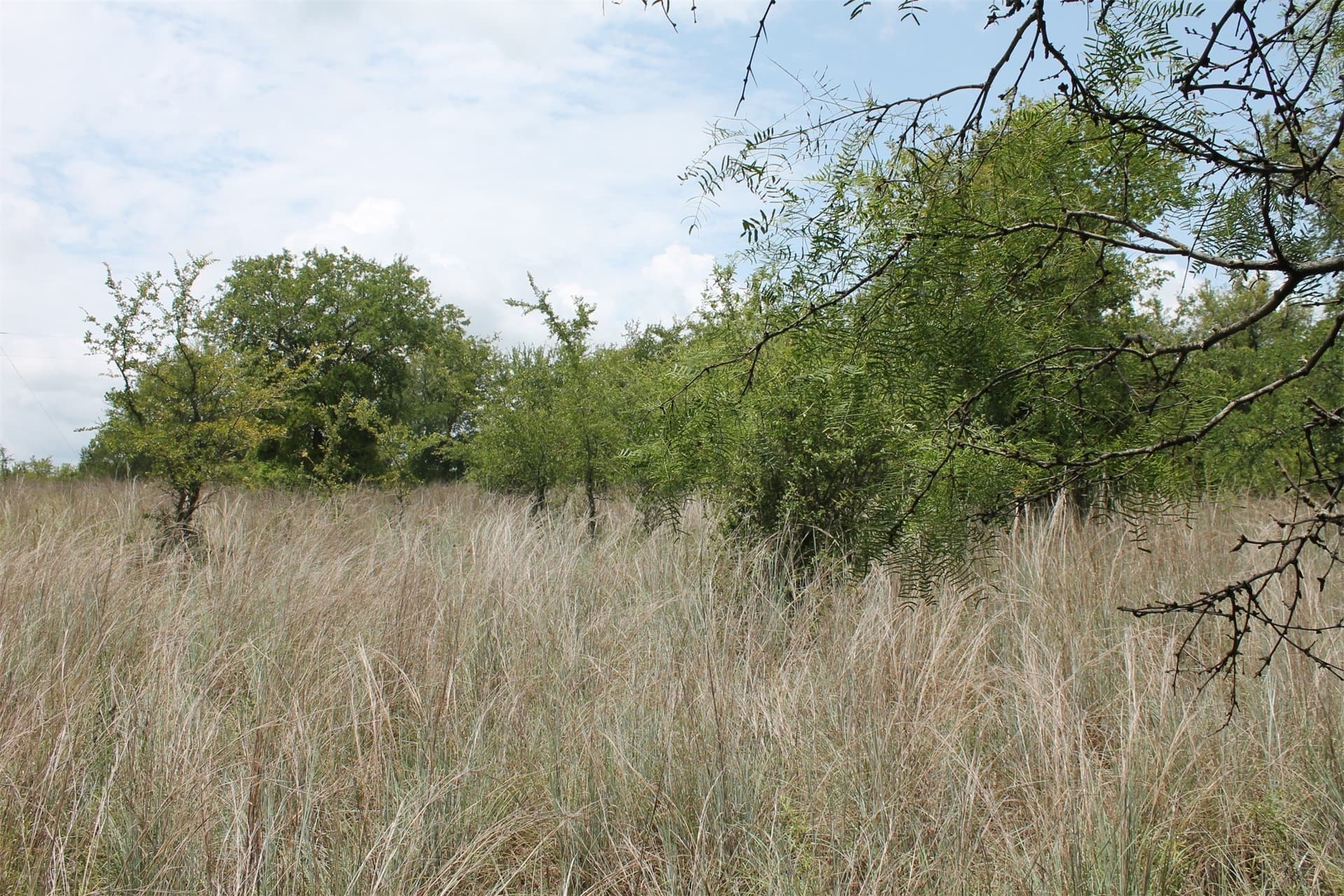 1.51 acres in Wise County - photo 8