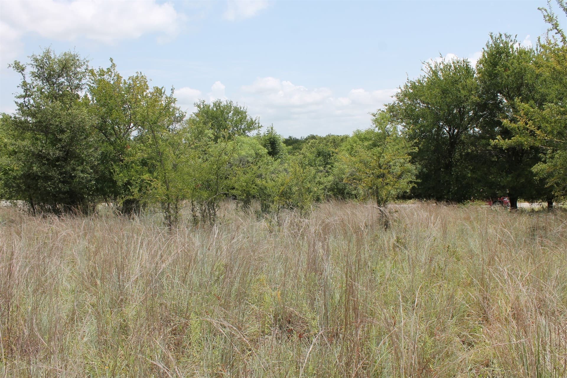 1.51 acres in Wise County - photo 6