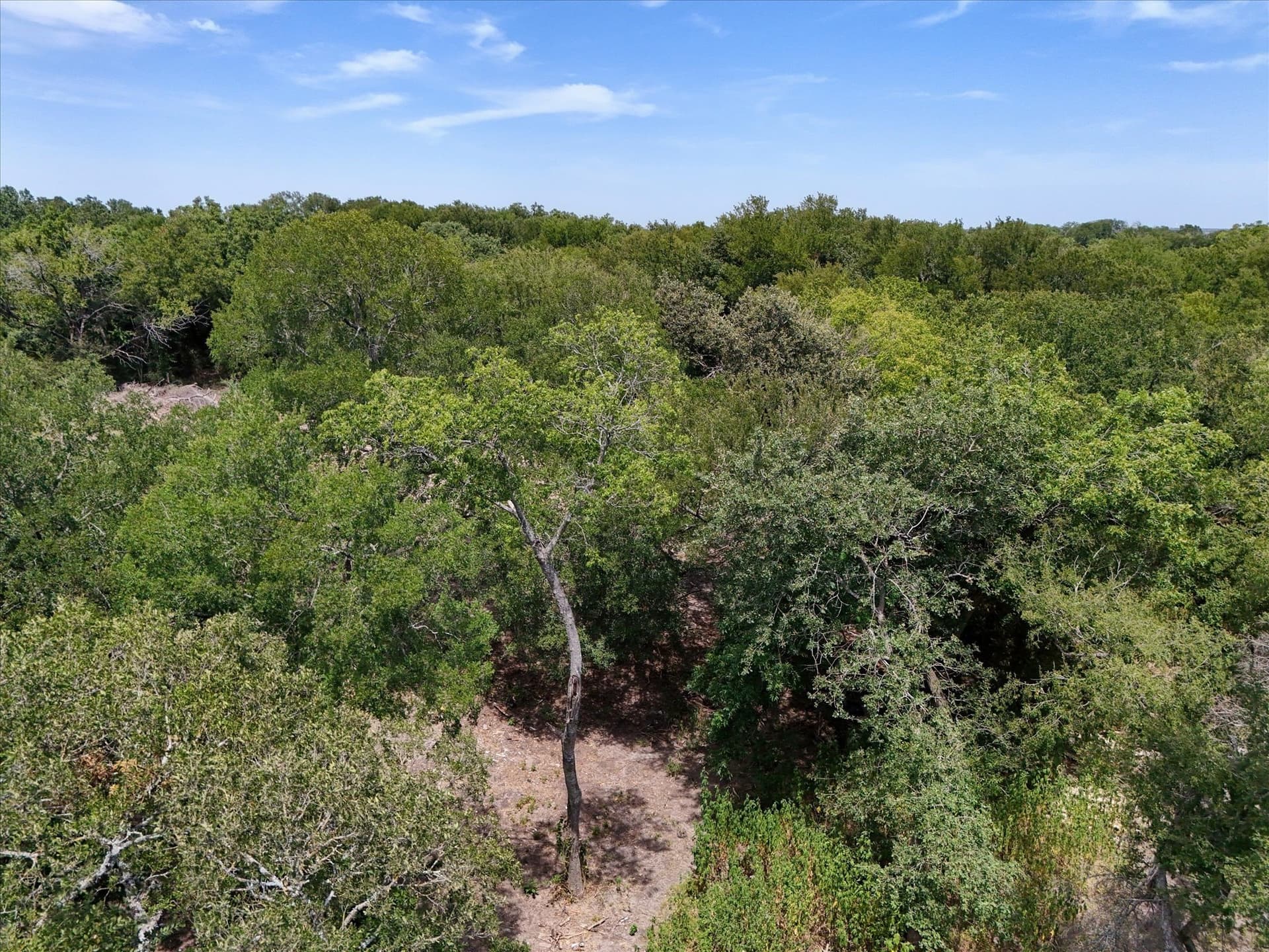 1.89 acres in McLennan County - photo 4
