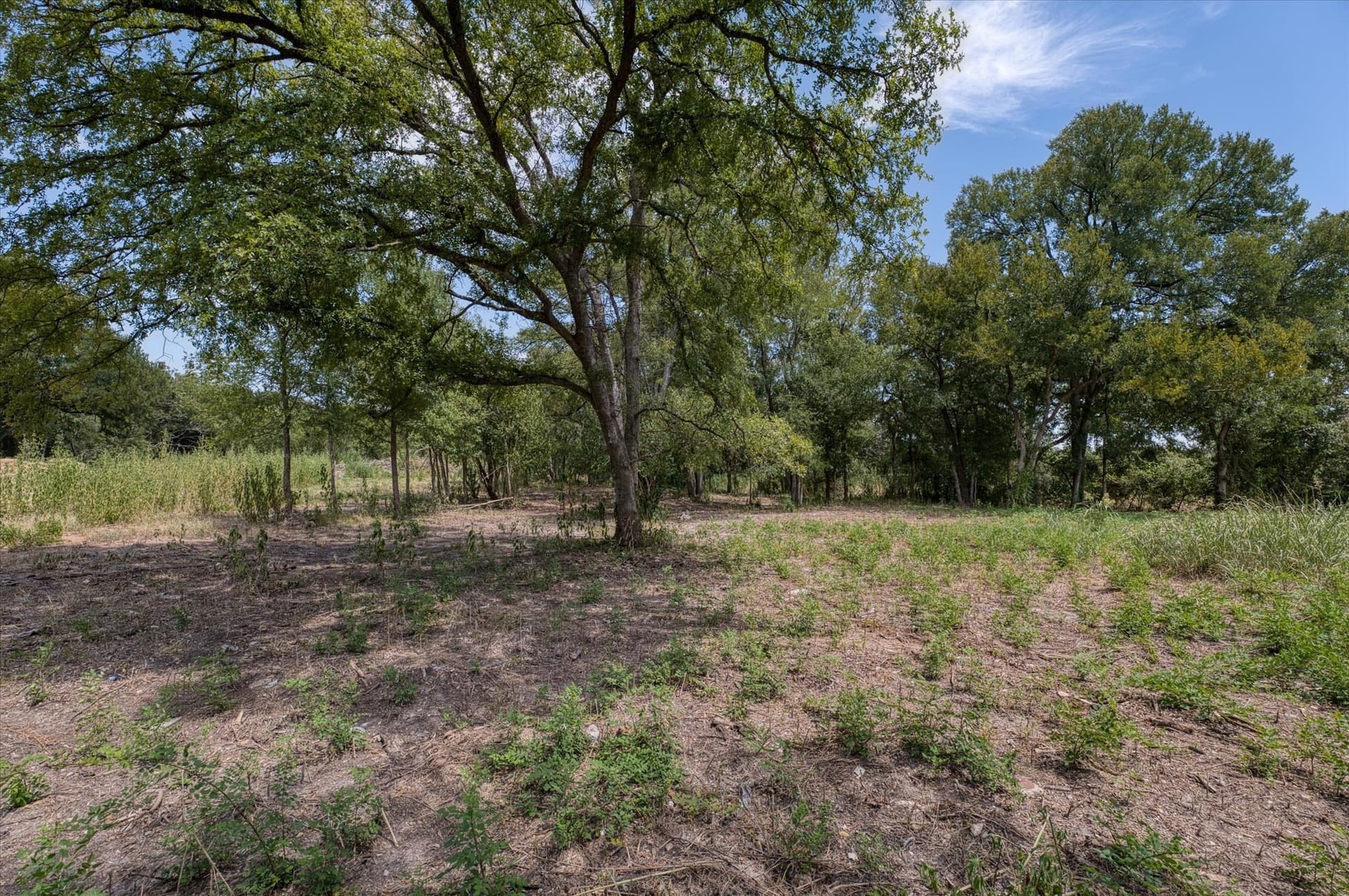 1.89 acres in McLennan County - photo 10
