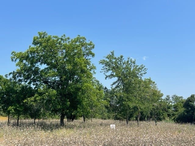 10.01 acres in Hamilton County - photo 3