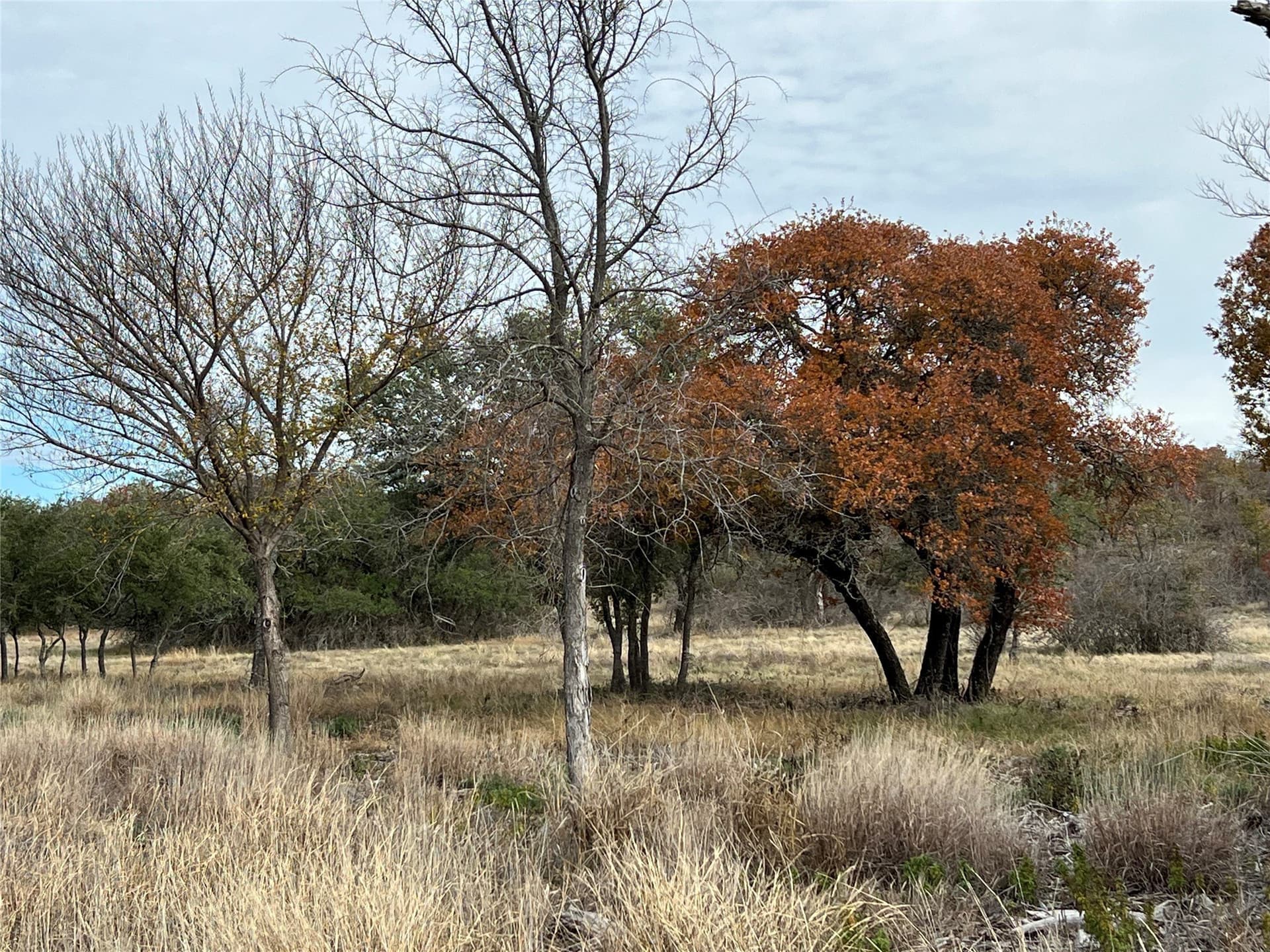 10.01 acres in Hamilton County - photo 6