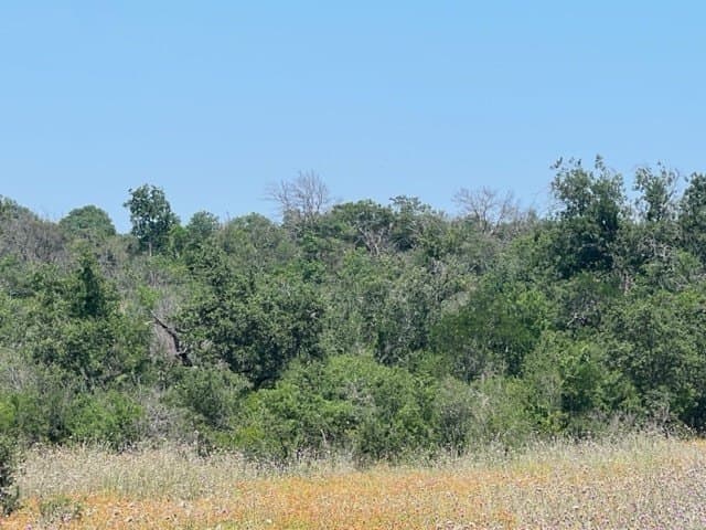 10.01 acres in Hamilton County - photo 7