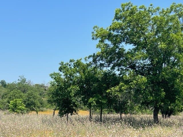 10.01 acres in Hamilton County - photo 5