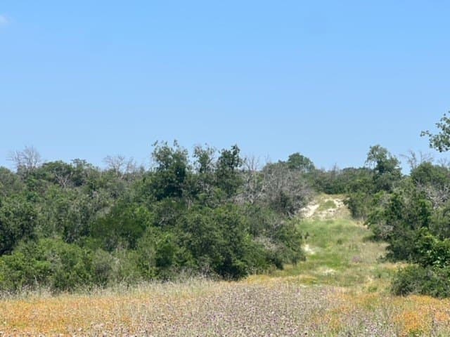 10.01 acres in Hamilton County - photo 8