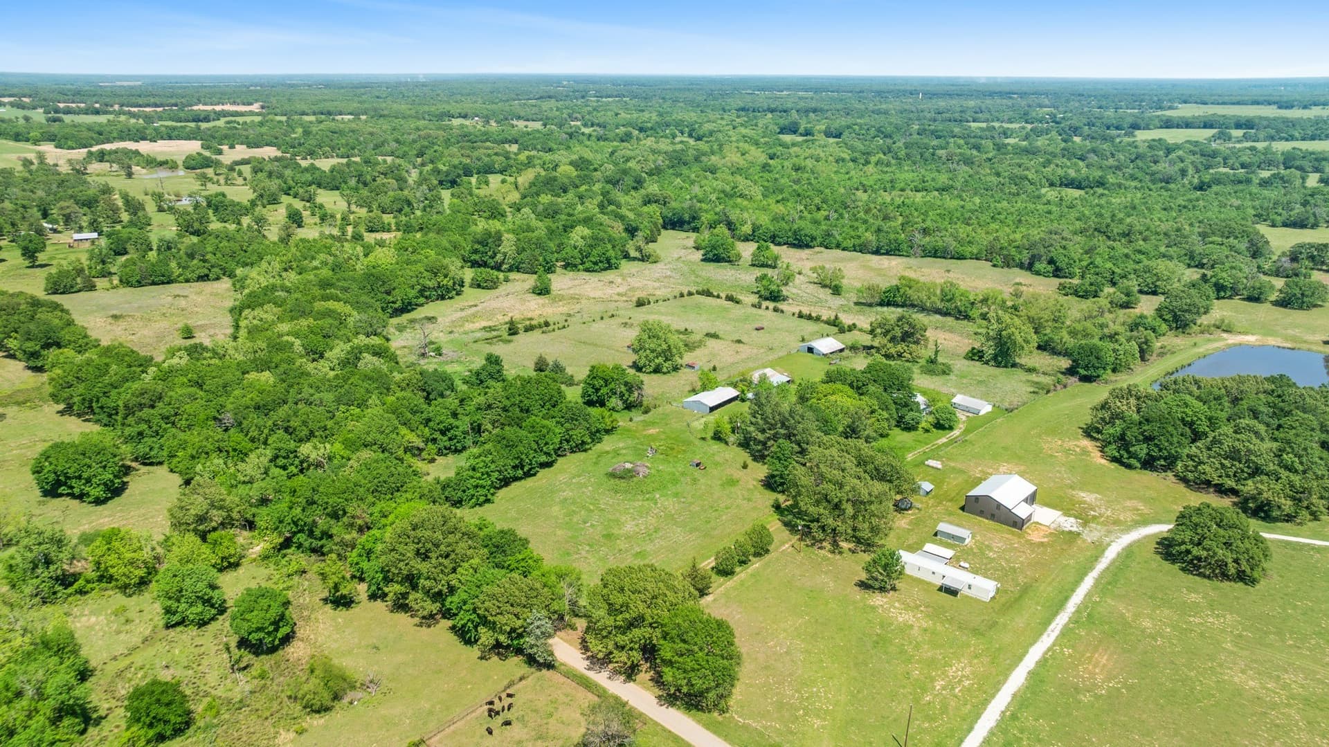 53.85 acres in Lamar County - photo 14