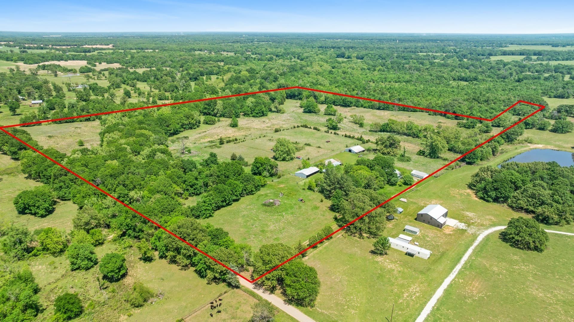 53.85 acres in Lamar County - photo 15