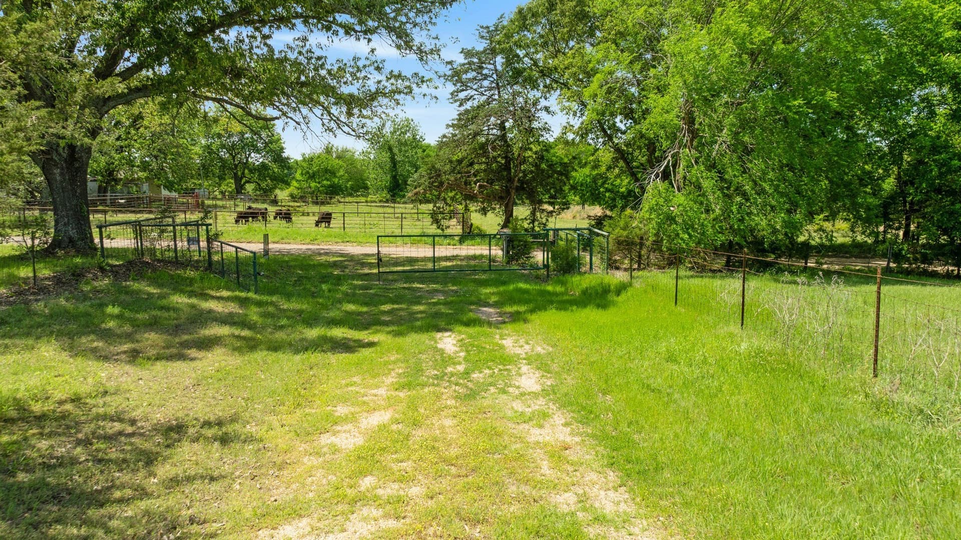 53.85 acres in Lamar County - photo 26