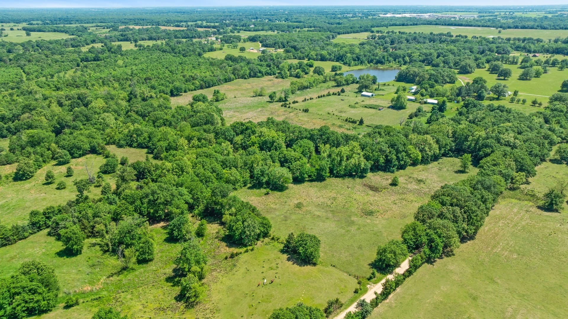 53.85 acres in Lamar County - photo 19