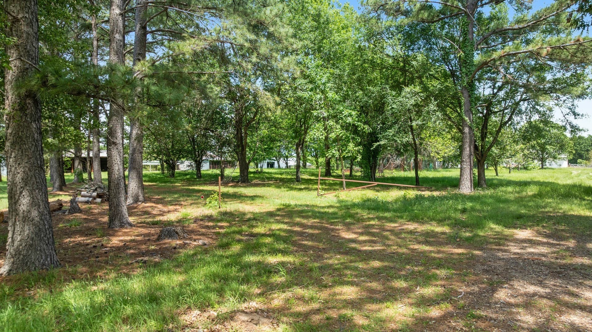 53.85 acres in Lamar County - photo 27