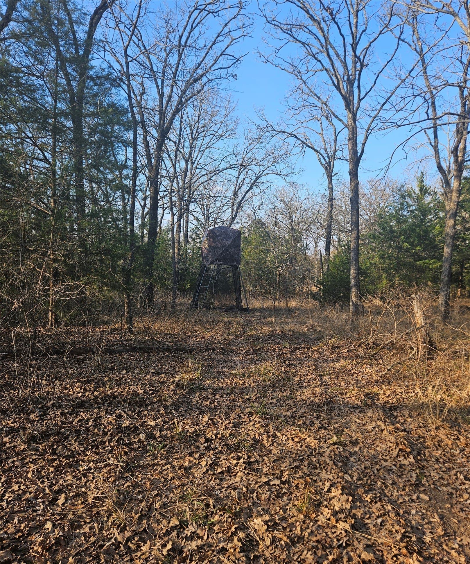 5.21 acres in Henderson County - photo 4
