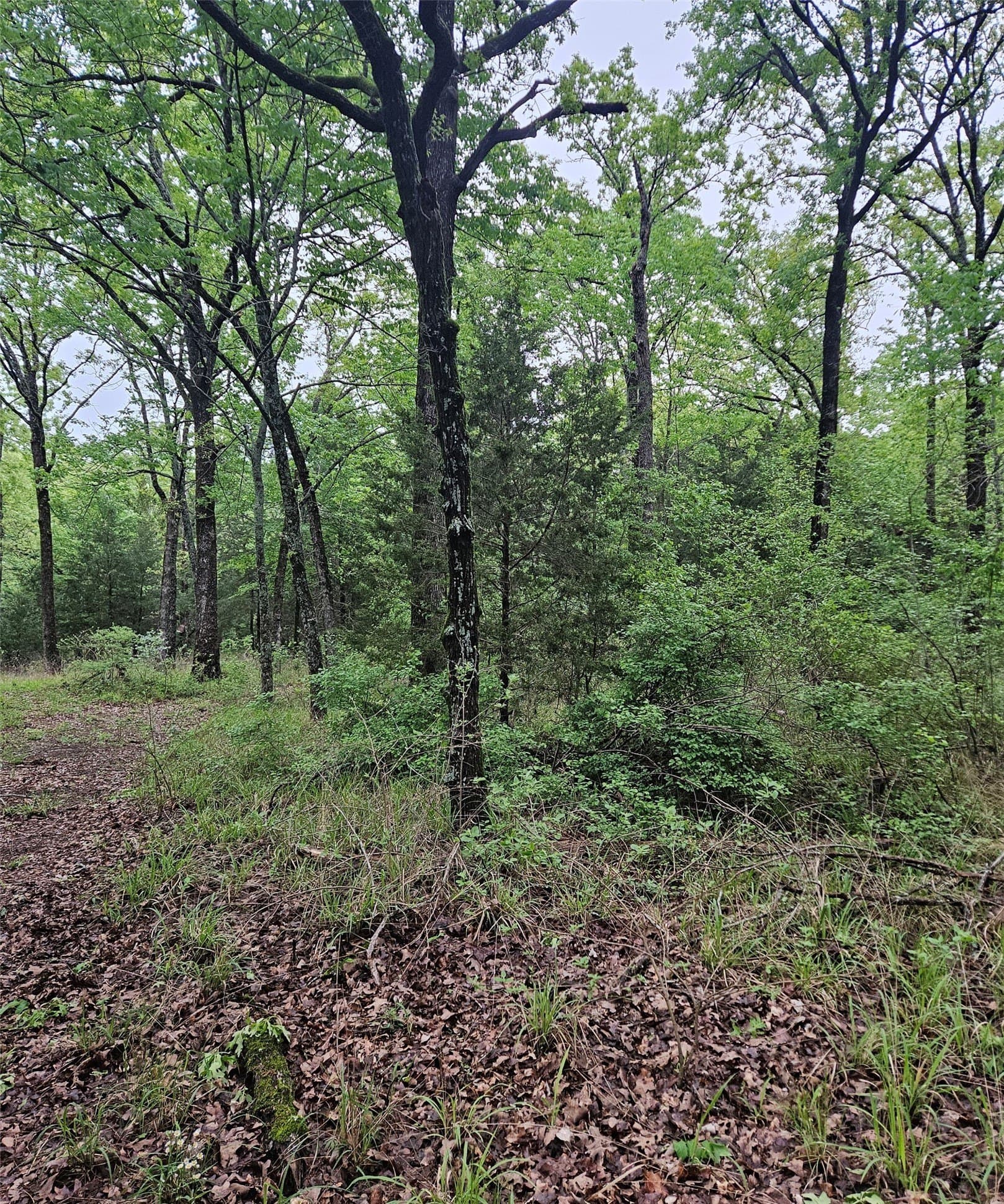 5.21 acres in Henderson County - photo 5