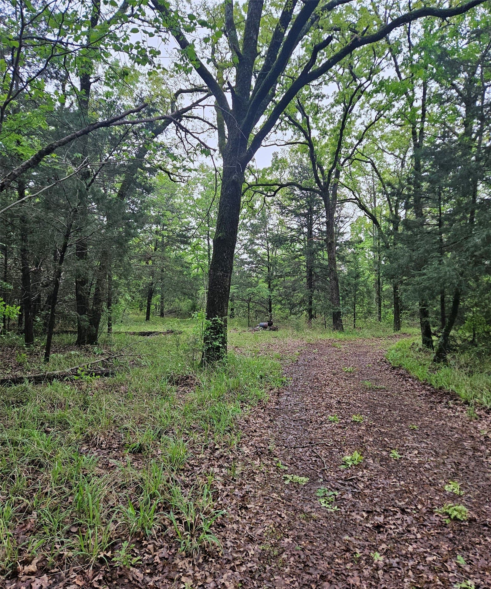 5.21 acres in Henderson County - photo 3