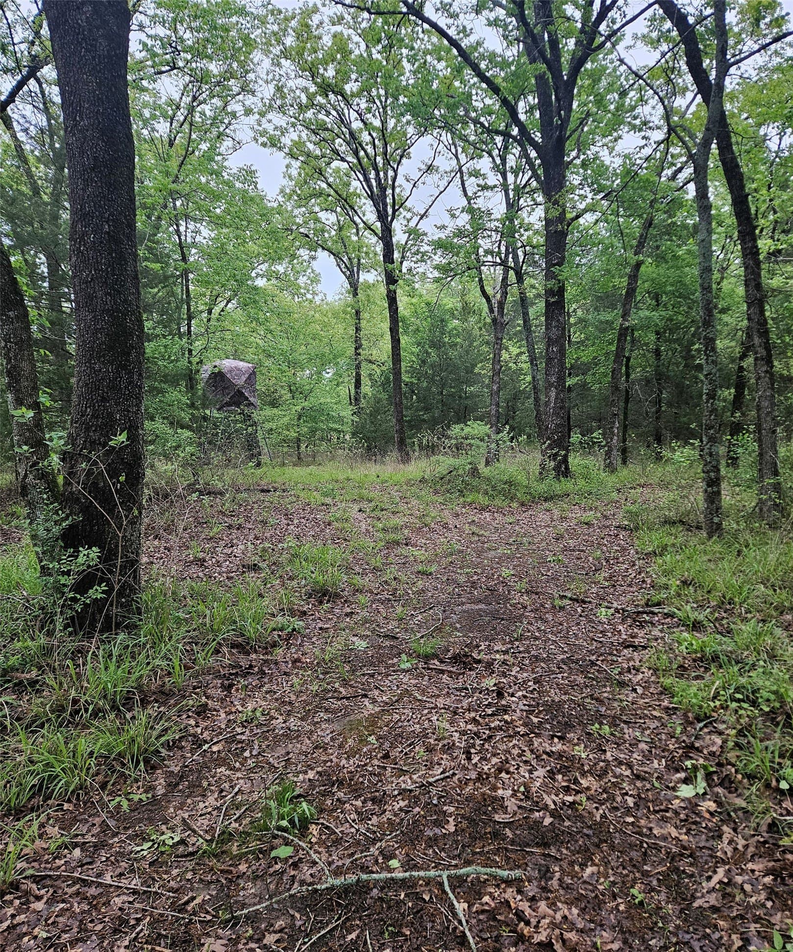 5.21 acres in Henderson County - photo 2