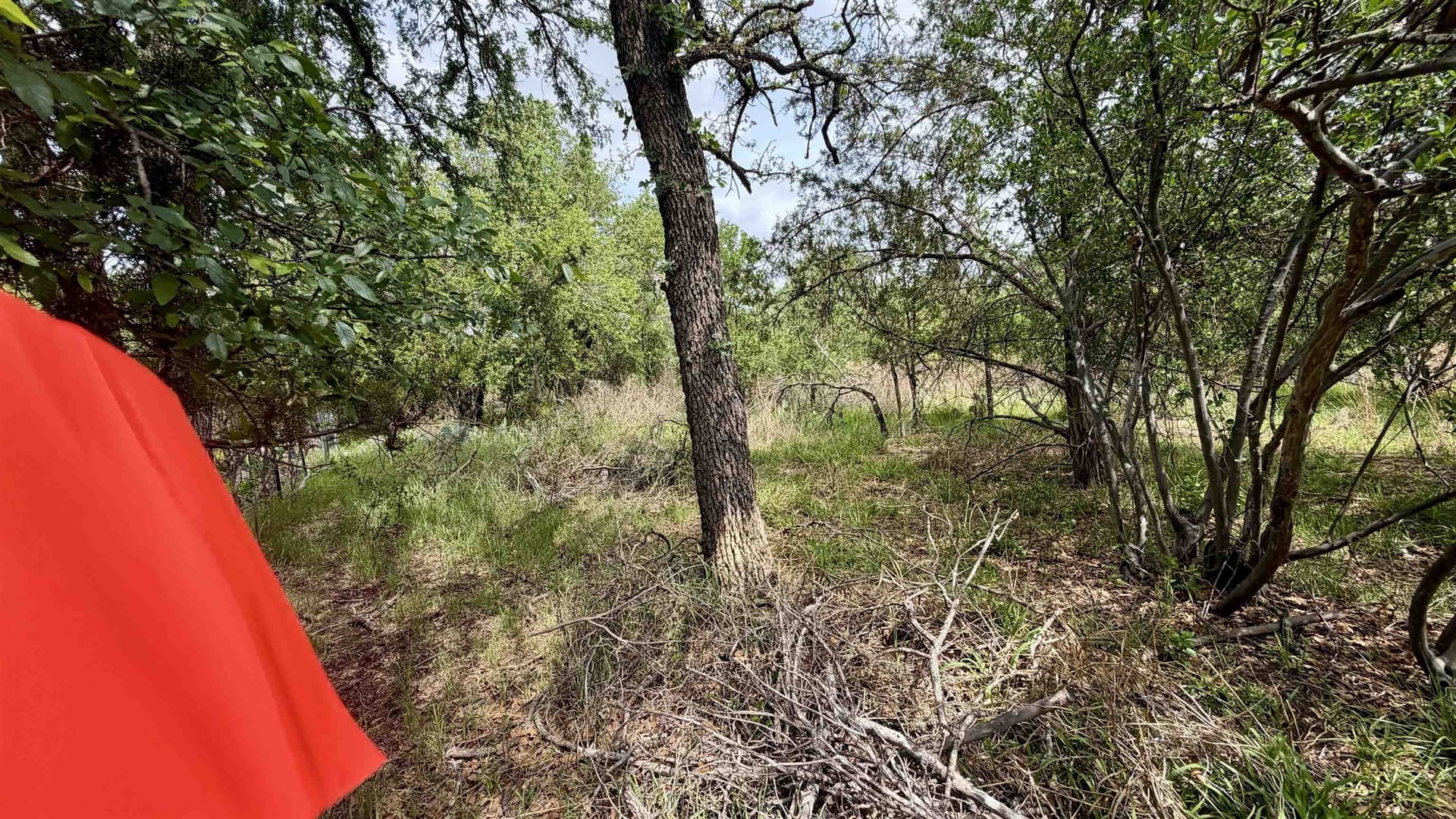 0.56 acres in Llano County gallery image 4