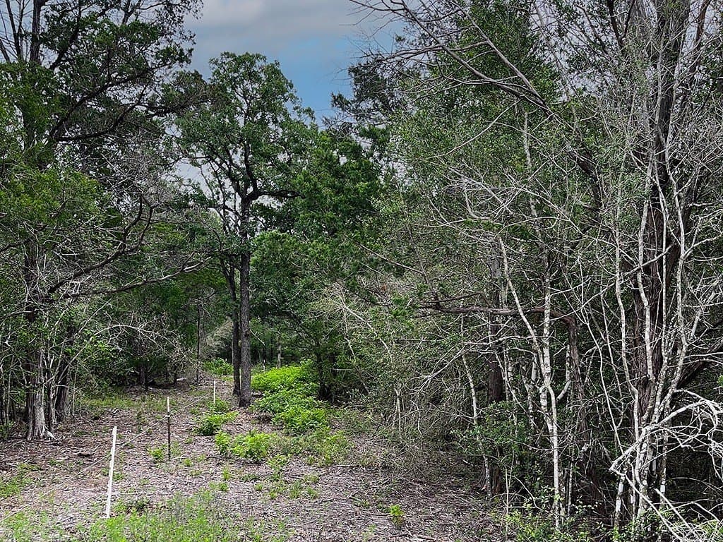 27.49 acres in Fayette County gallery image 3