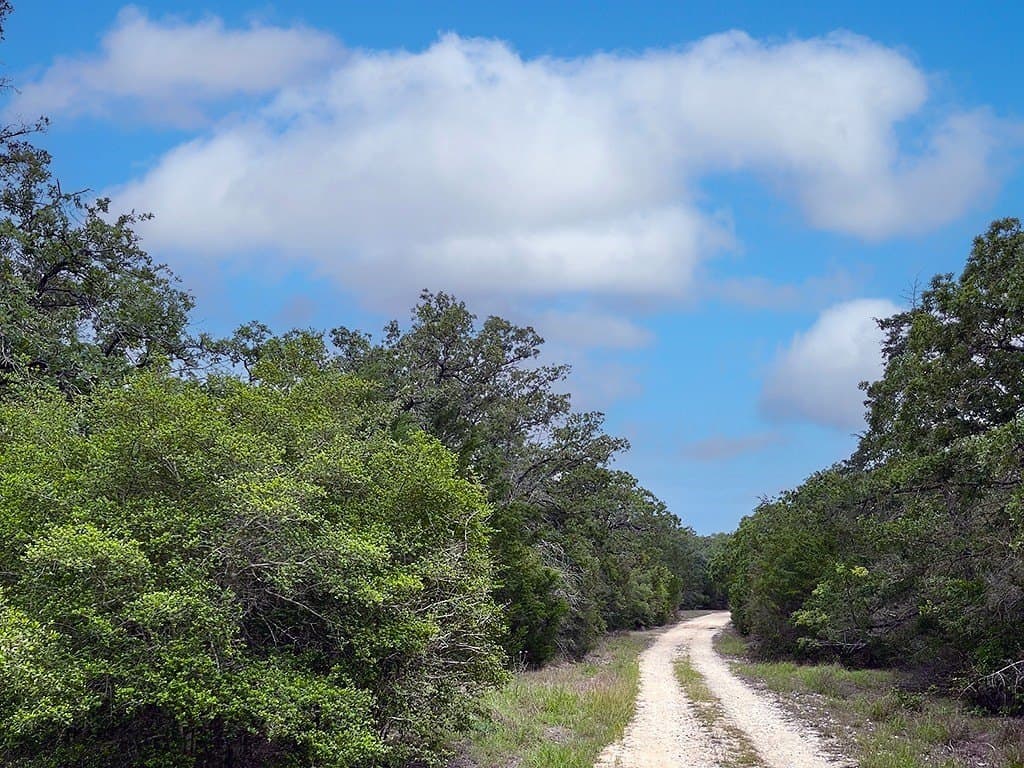 27.49 acres in Fayette County gallery image 4