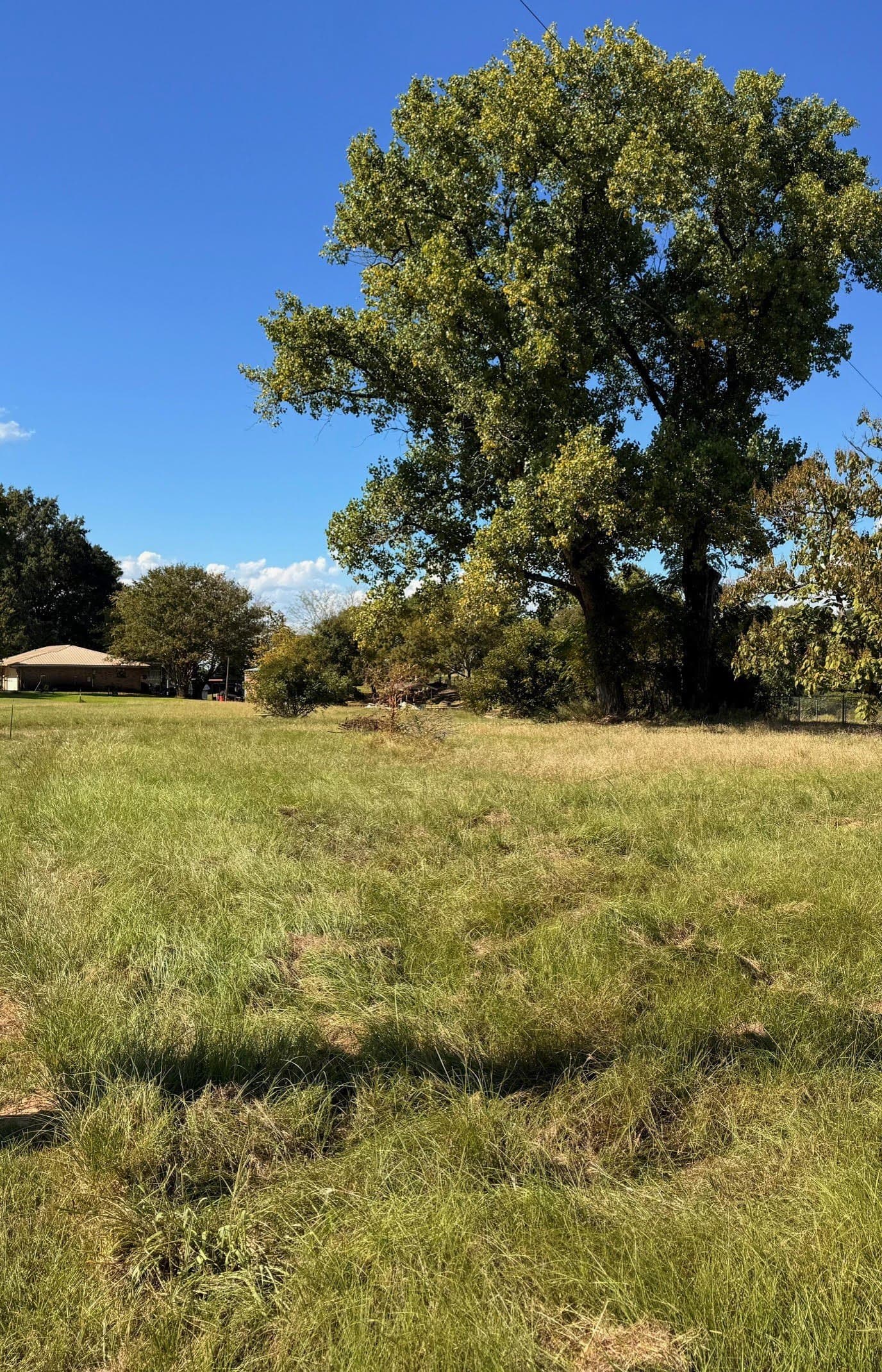 0.21 acres in Henderson County gallery image 3