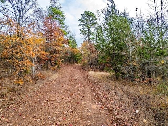 172.21 acres in Morris County - photo 13