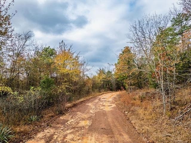 172.21 acres in Morris County - photo 11
