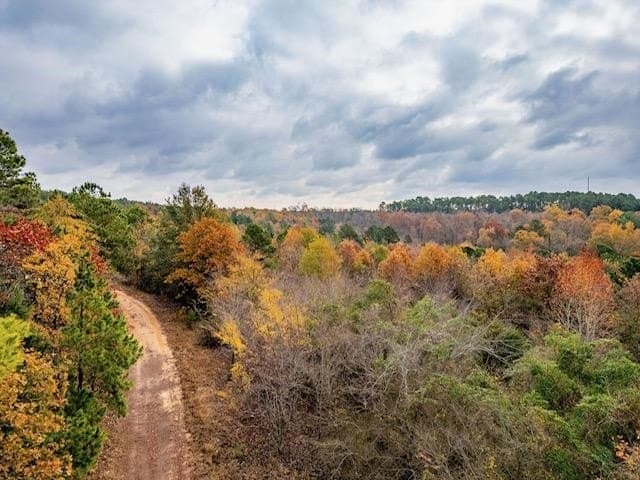 172.21 acres in Morris County - photo 5