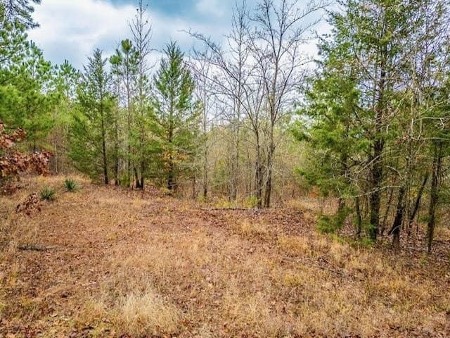172.21 acres in Morris County - photo 3