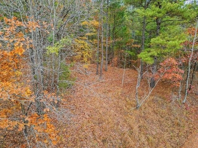 172.21 acres in Morris County - photo 9