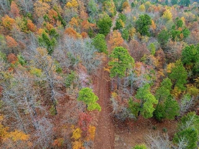 172.21 acres in Morris County - photo 15