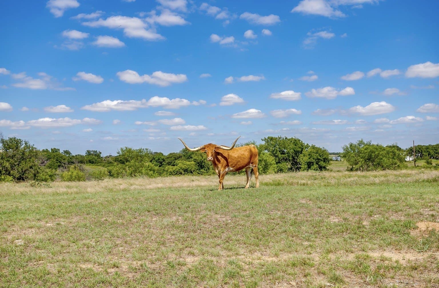 22 acres in Tarrant County - photo 28