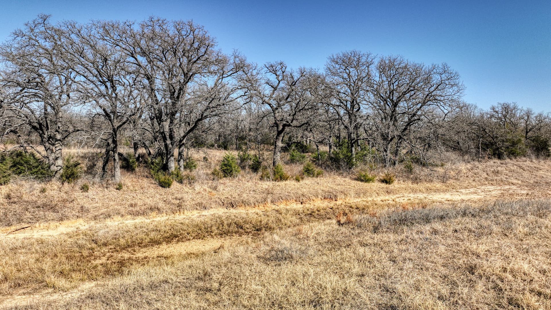 29.19 acres in Wise County - photo 15