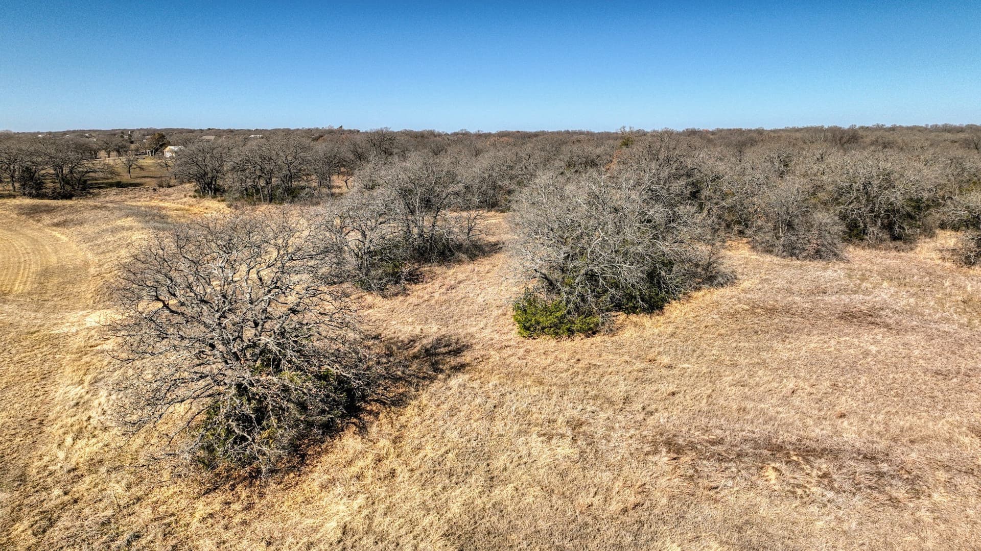 29.19 acres in Wise County - photo 8