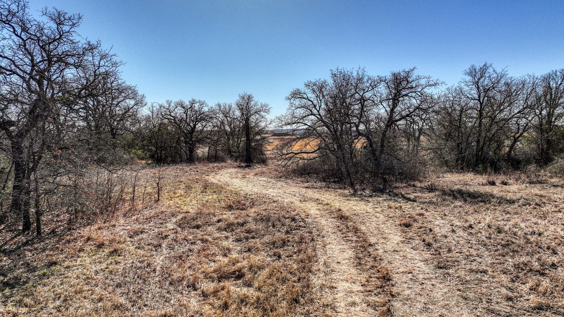 29.19 acres in Wise County - photo 9