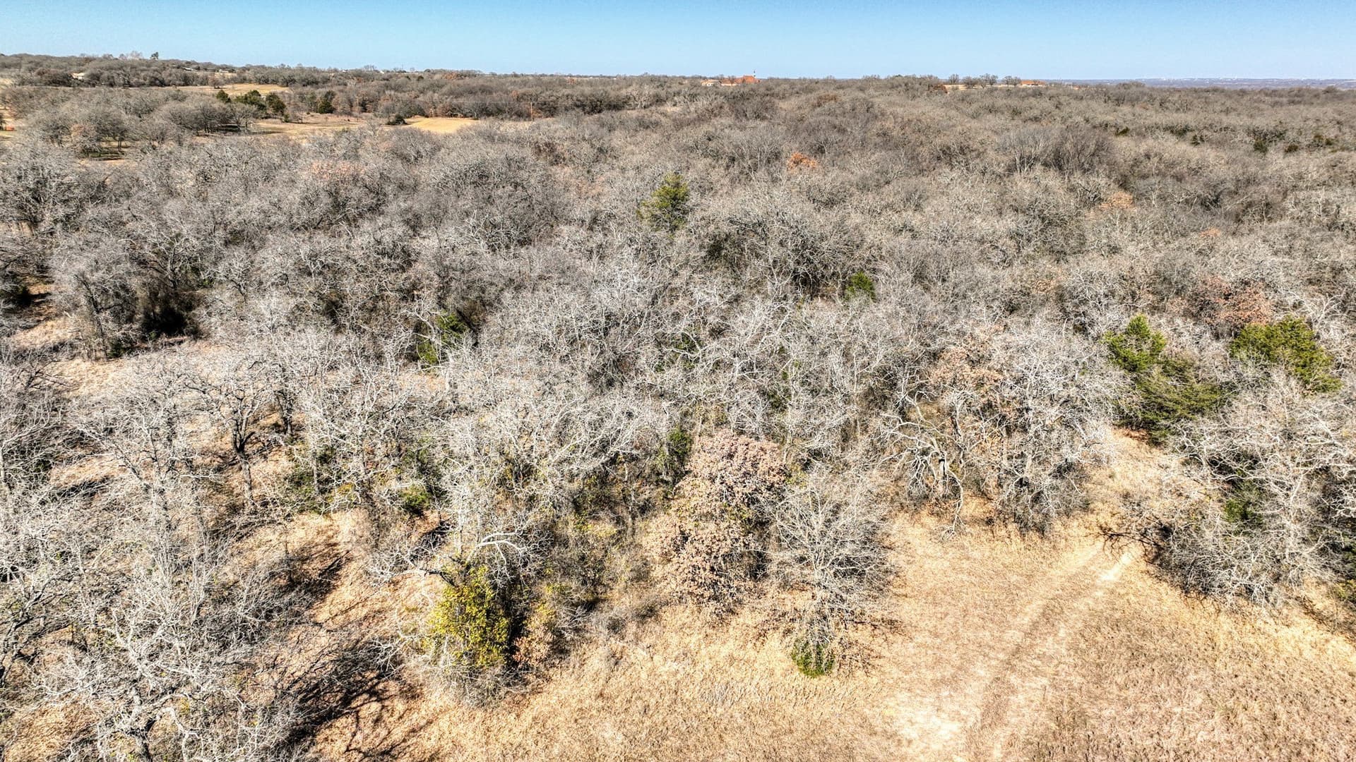 29.19 acres in Wise County - photo 17