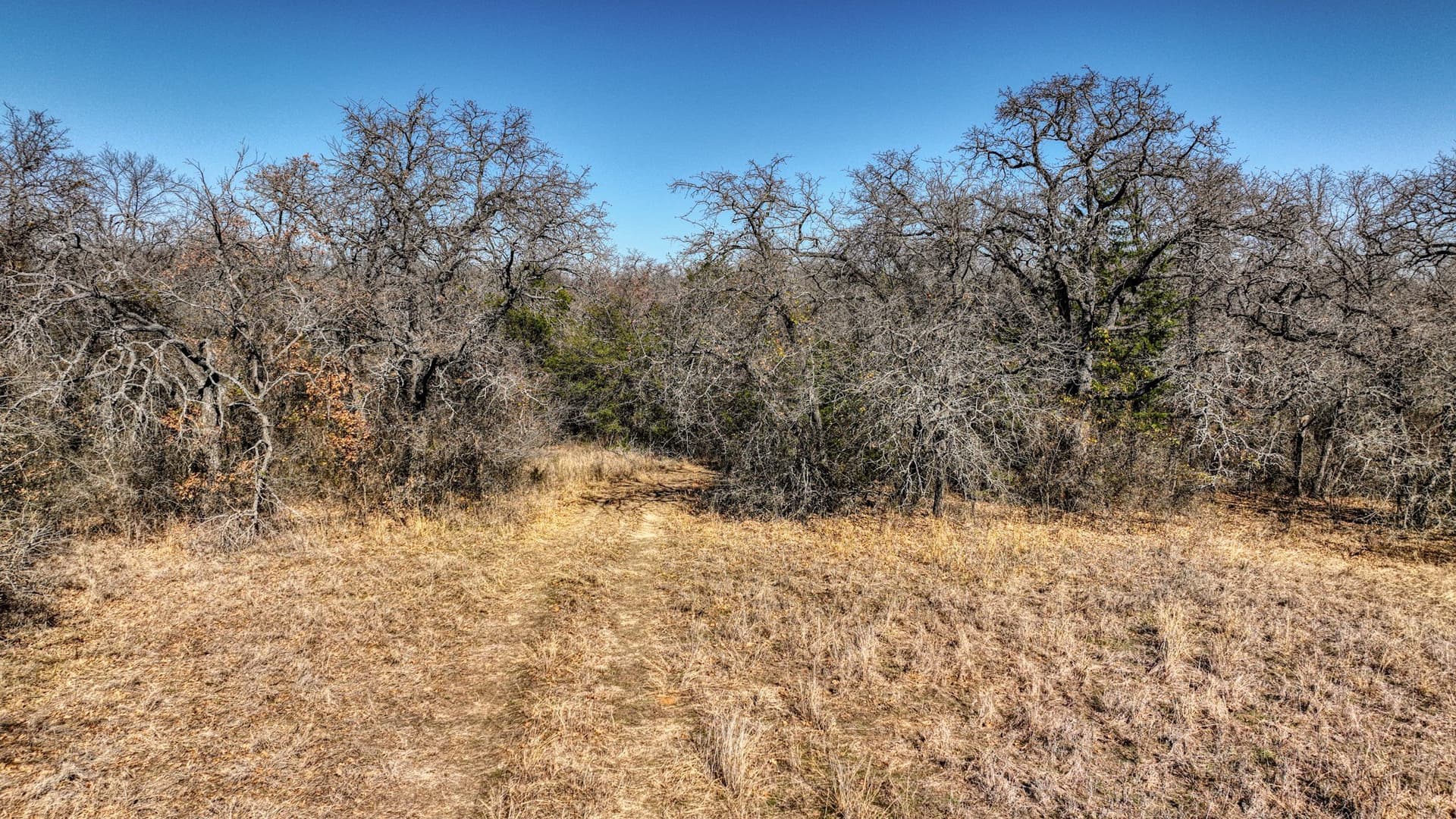 29.19 acres in Wise County - photo 6