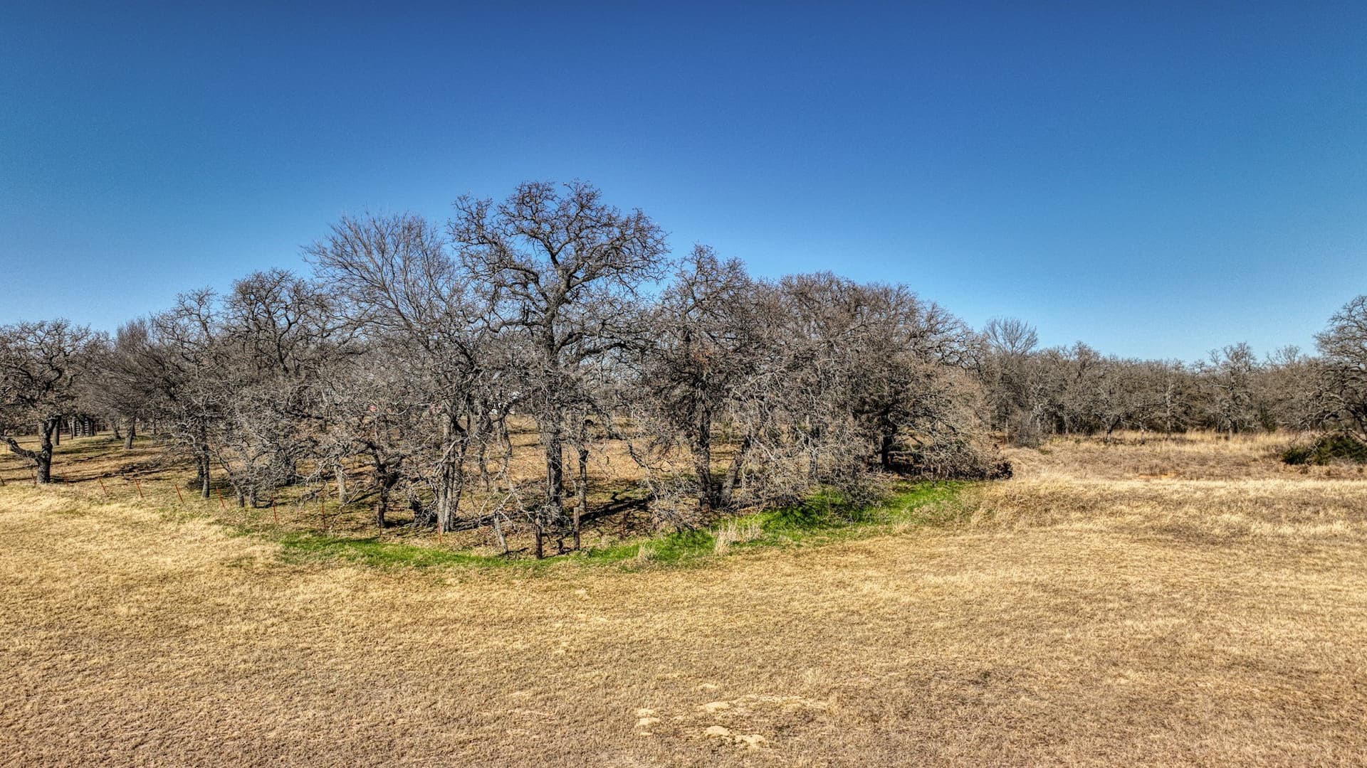 29.19 acres in Wise County - photo 14