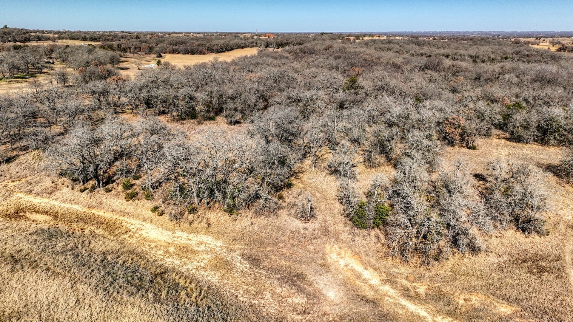 29.19 acres in Wise County - photo 16