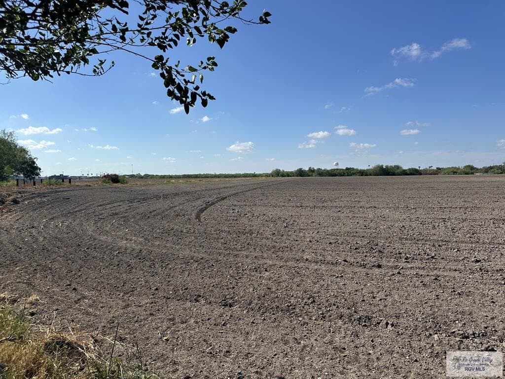 14.94 acres in HIDALGO County - photo 8