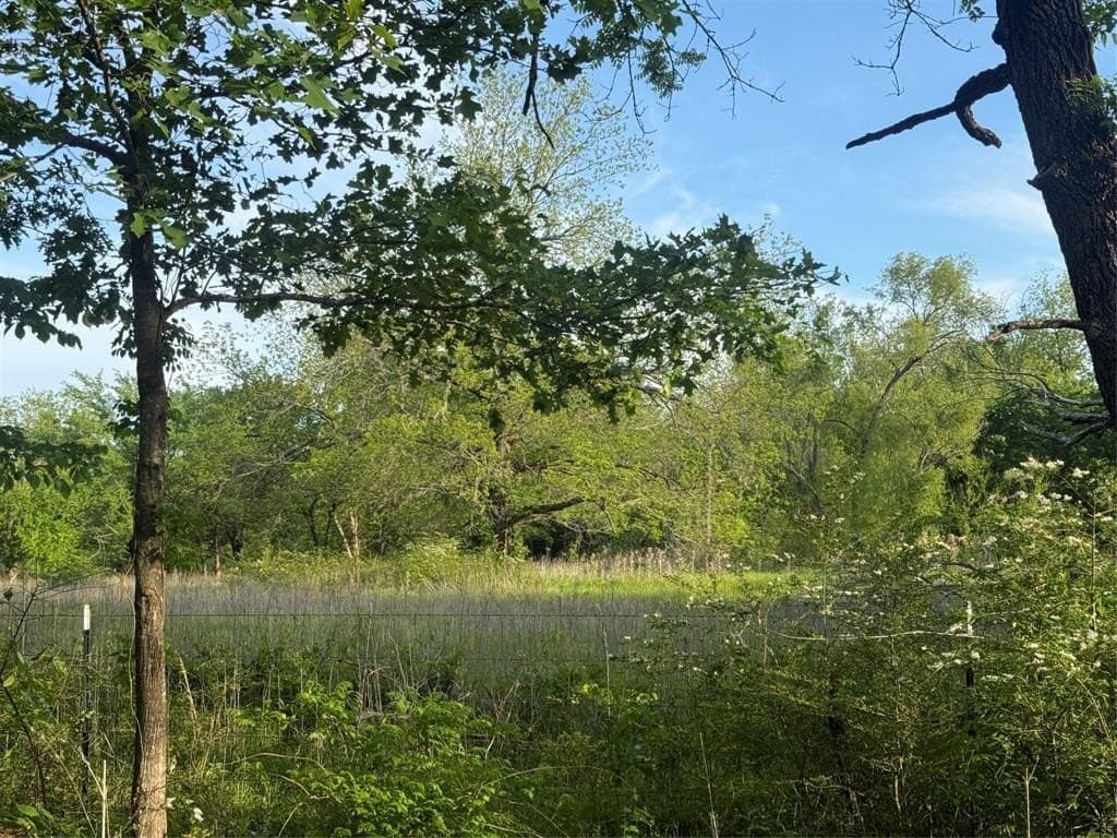 4 acres in Lamar County gallery image 4