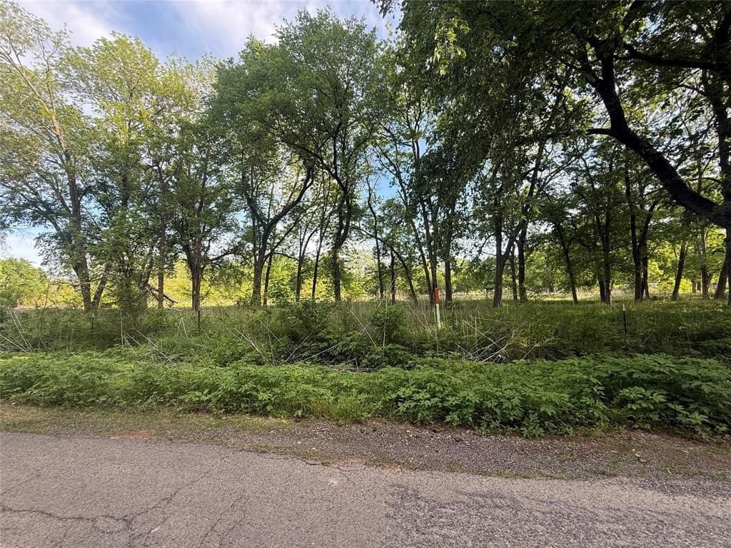 4 acres in Lamar County featured view