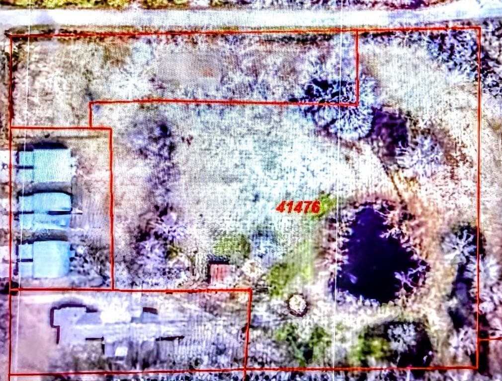 4 acres in Lamar County gallery image 2