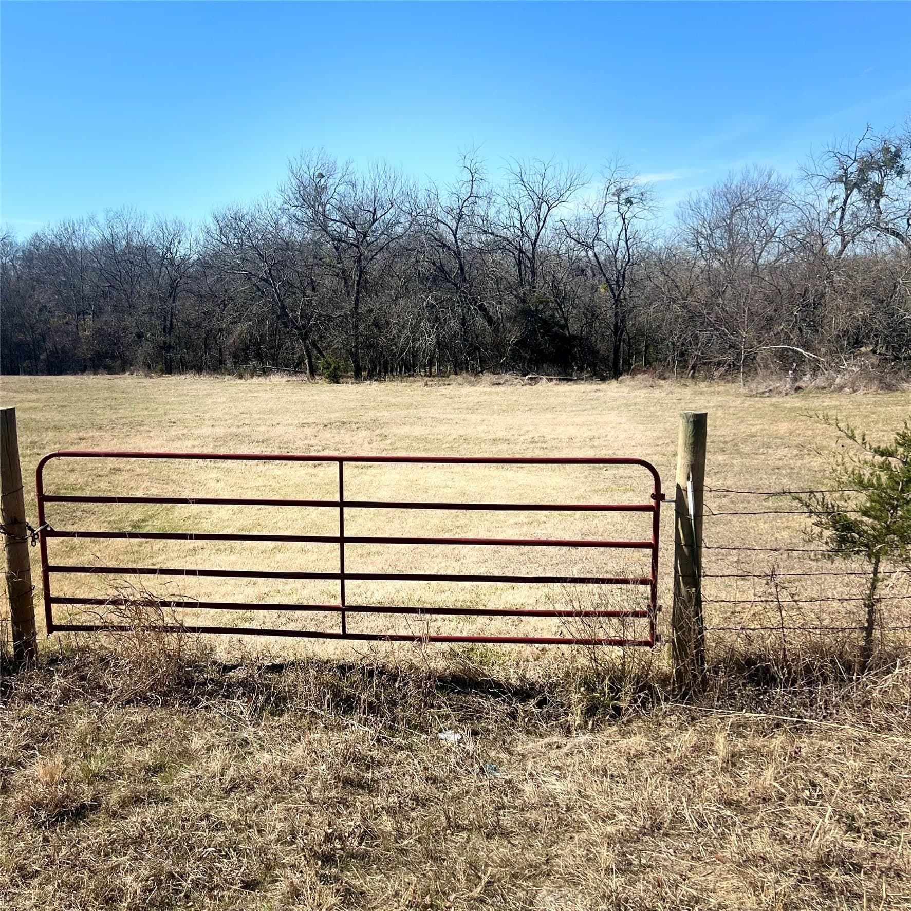 10 acres in Hopkins County - photo 9