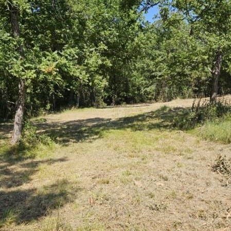 10 acres in Hopkins County - photo 11