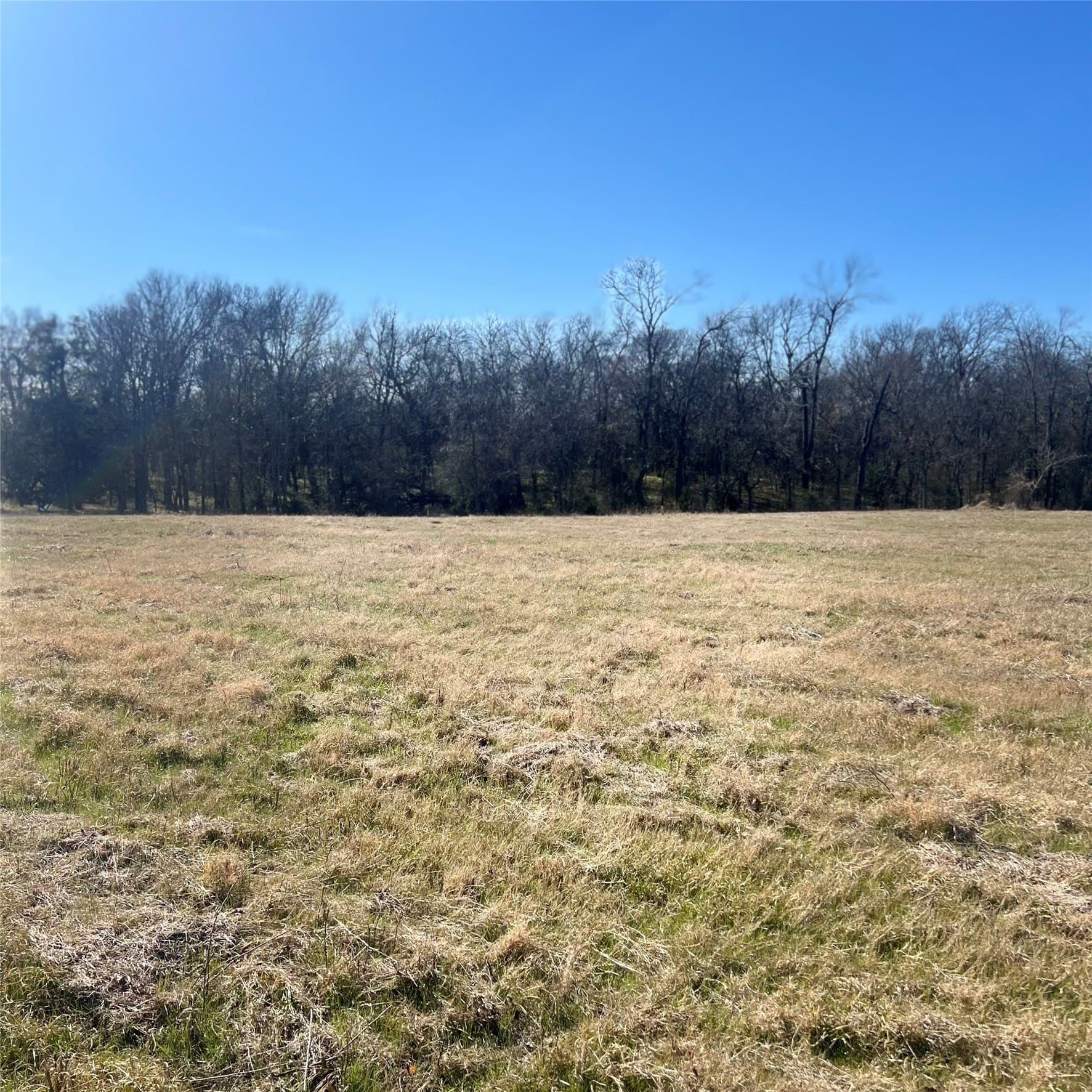 10 acres in Hopkins County - photo 8