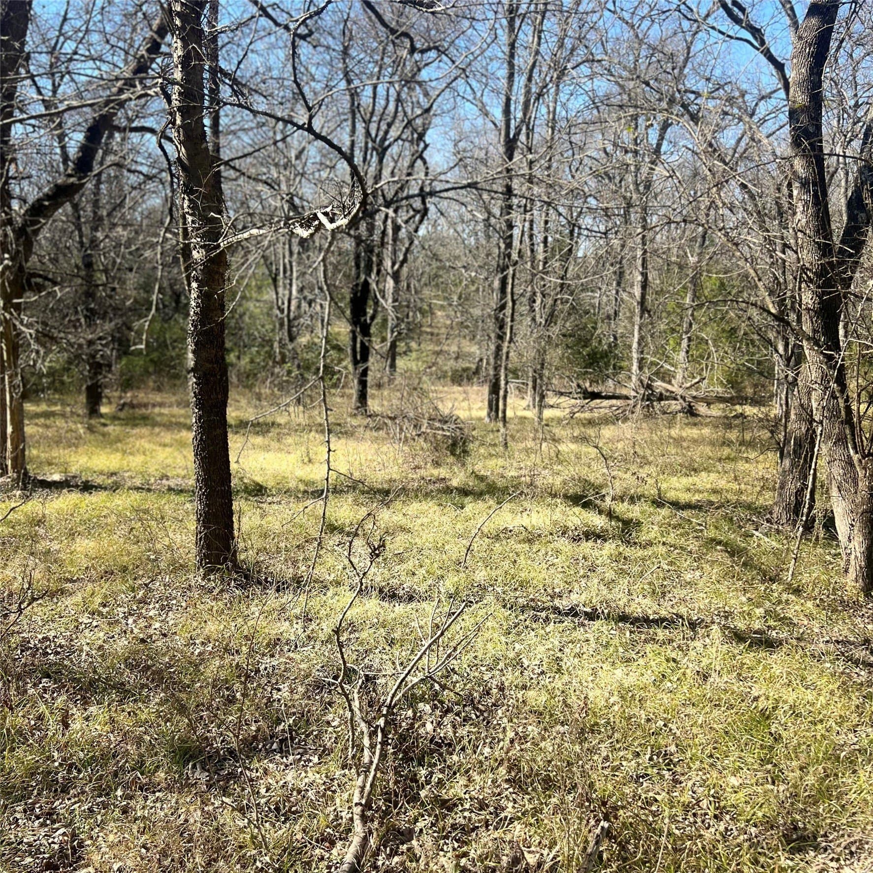 10 acres in Hopkins County gallery image 2