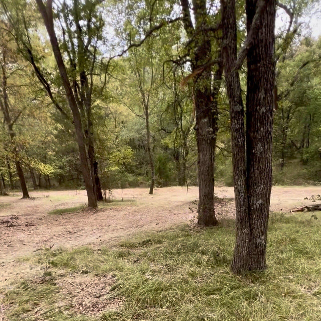 10 acres in Hopkins County - photo 12