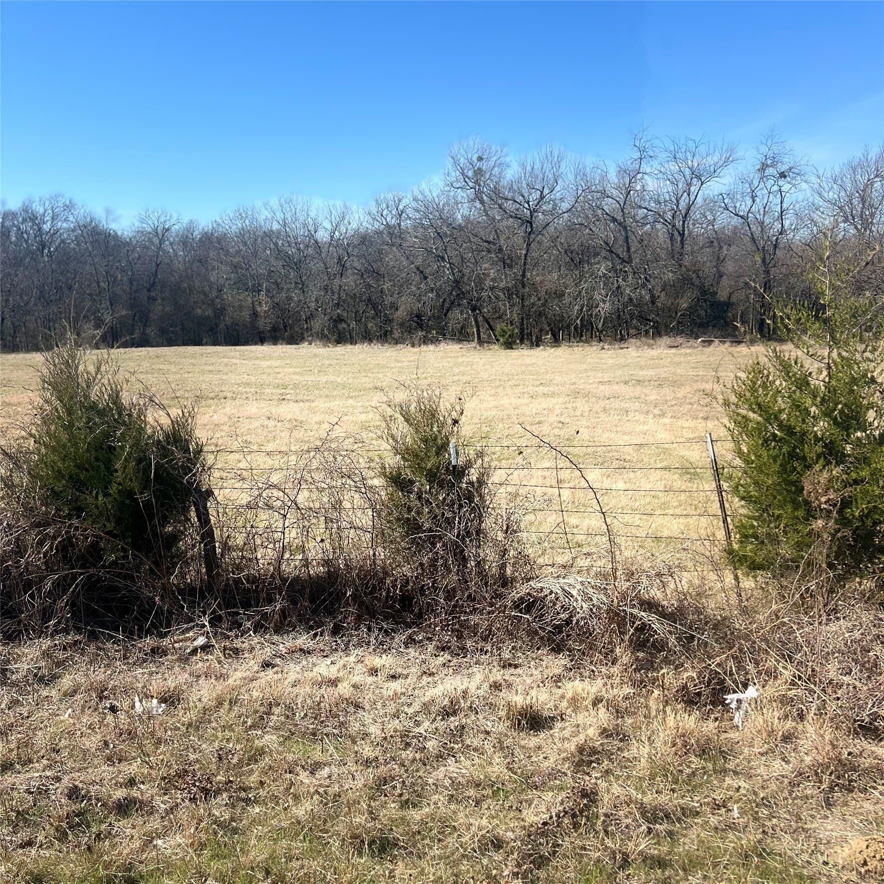 10 acres in Hopkins County gallery image 3