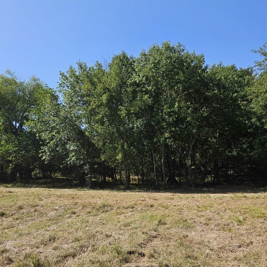 10 acres in Hopkins County - photo 15