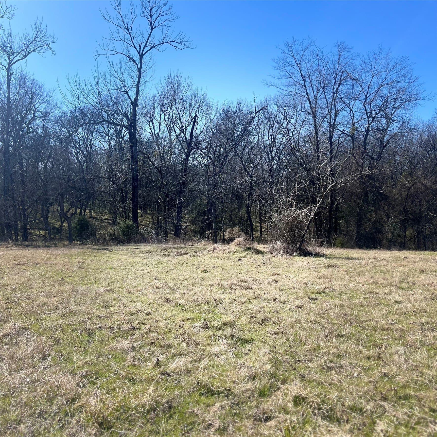 10 acres in Hopkins County - photo 7
